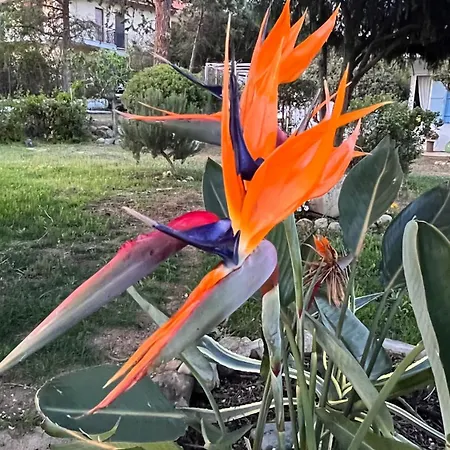 Apartment Silmar Capitana